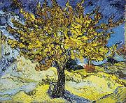 Vincent Van Gogh Mulberry Tree Norge oil painting reproduction